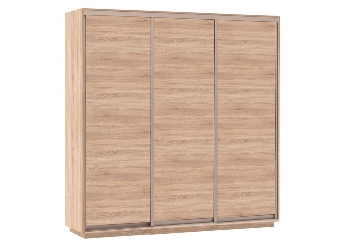 Шкаф-купе Сенатор 240х60х220 Трио Комби 3