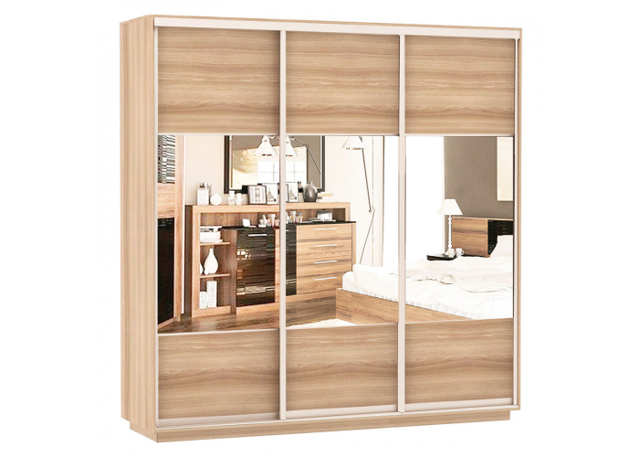 Шкаф-купе Сенатор 210х60х220 Трио Комби 2