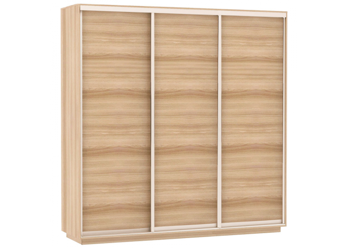 Шкаф-купе Сенатор 240х60х220 Трио Комби 3