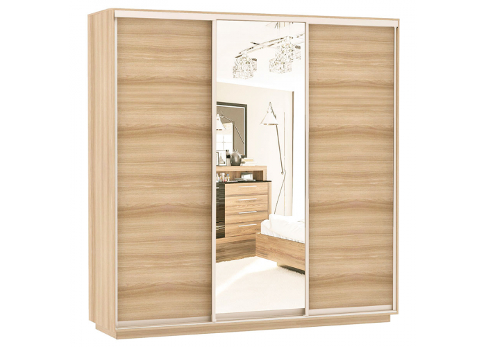 Шкаф-купе Сенатор 210х60х220 Трио Комби 3 / Комби 4