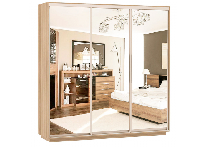 Шкаф-купе Сенатор 240х60х220 Трио Комби 4