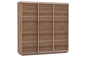 Шкаф-купе Сенатор 210х60х220 Трио Комби 1