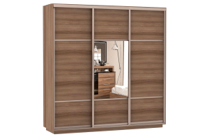 Шкаф-купе Сенатор 240х60х220 Трио Комби 1 / Комби 2