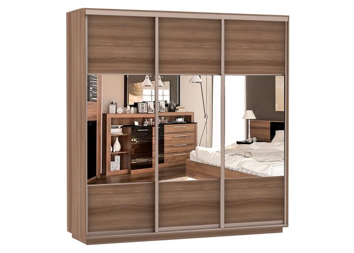 Шкаф-купе Сенатор 240х60х220 Трио Комби 2