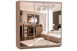 Шкаф-купе Сенатор 240х60х220 Трио Комби 4