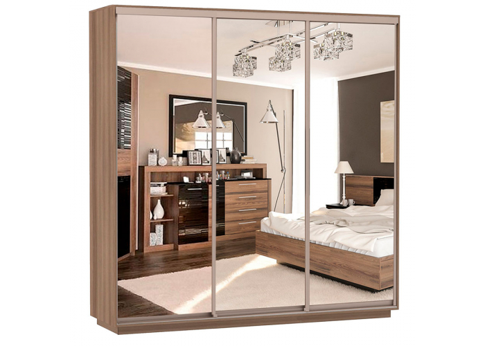 Шкаф-купе Сенатор 240х60х220 Трио Комби 4