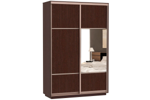 Шкаф-купе Сенатор 160х45х220 Класс Комби 1 / Комби 2