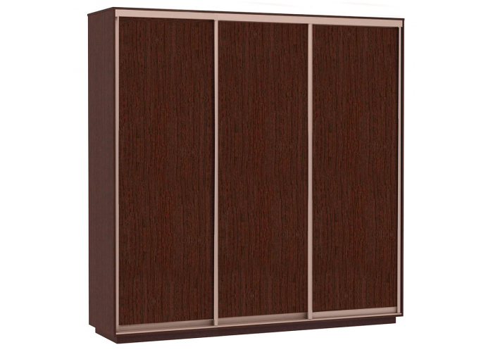 Шкаф-купе Сенатор 240х60х220 Трио Комби 3