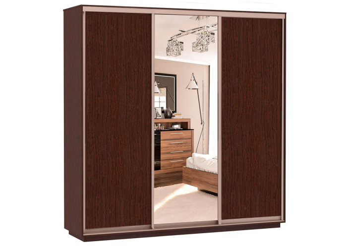 Шкаф-купе Сенатор 210х60х220 Трио Комби 3 / Комби 4