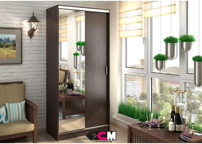 Шкаф-купе Стендмебель Альянс 1,0