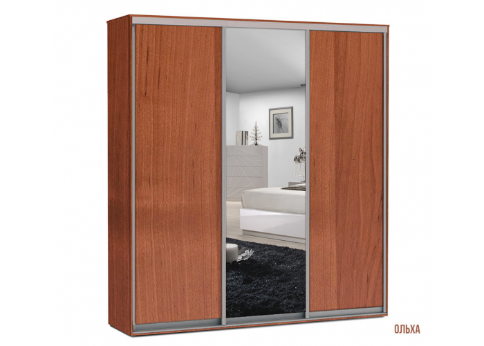 Шкаф-купе Победа 200х60х240 ДЗД