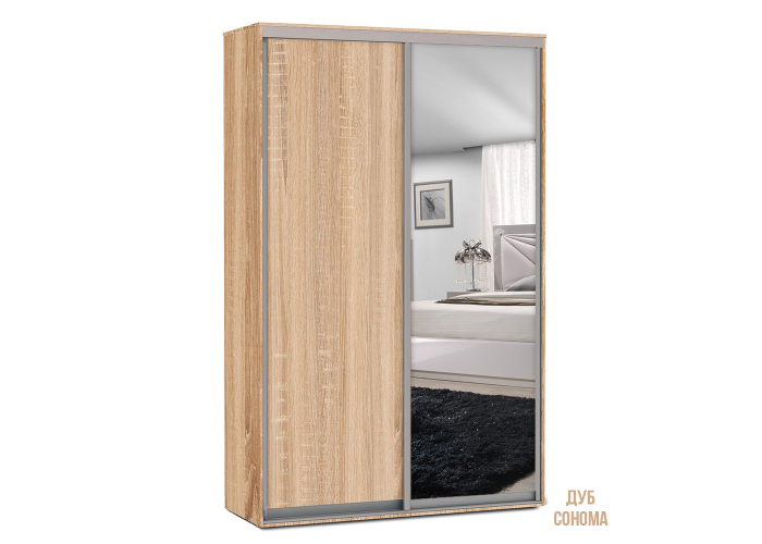 Шкаф-купе Победа 170х60х240 ЗД