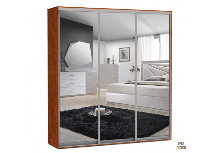 Шкаф-купе Победа SR ЗЗЗ