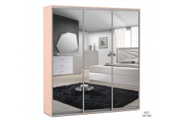 Шкаф-купе Победа 200х60х240 ЗЗЗ